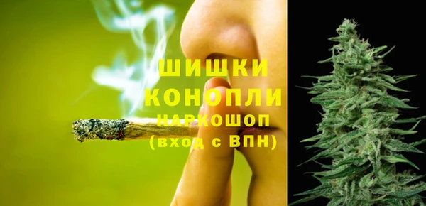 индика Киренск