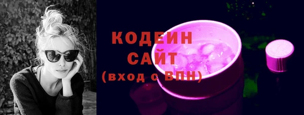 индика Киренск