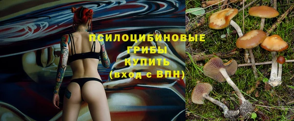 индика Киренск