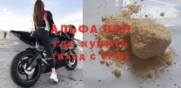 индика Киренск