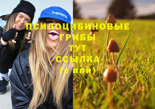 MDMA Кинешма