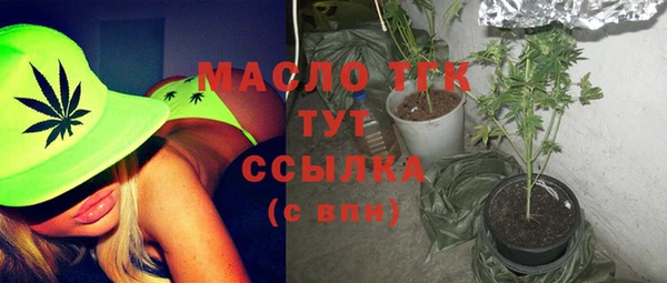 индика Киренск